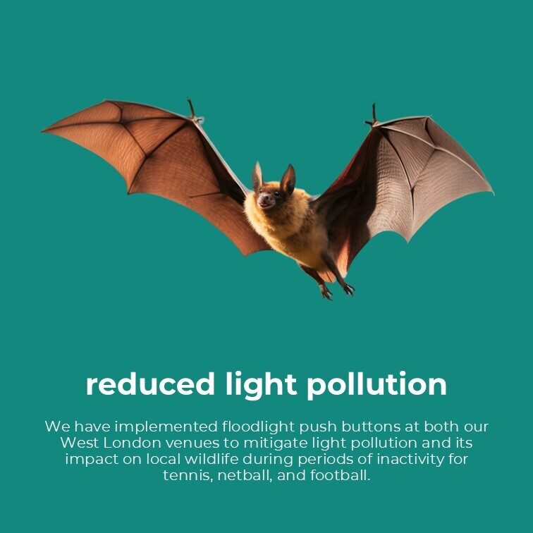 Sustainability Reduced Light Pollution