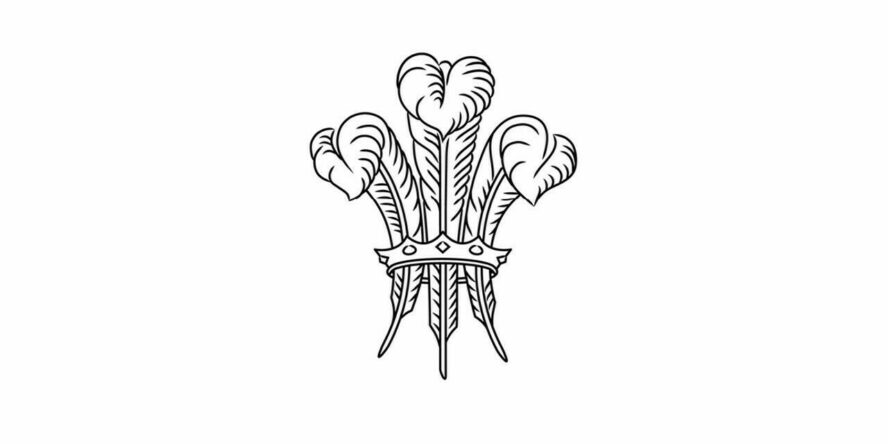 Feathers Charity
