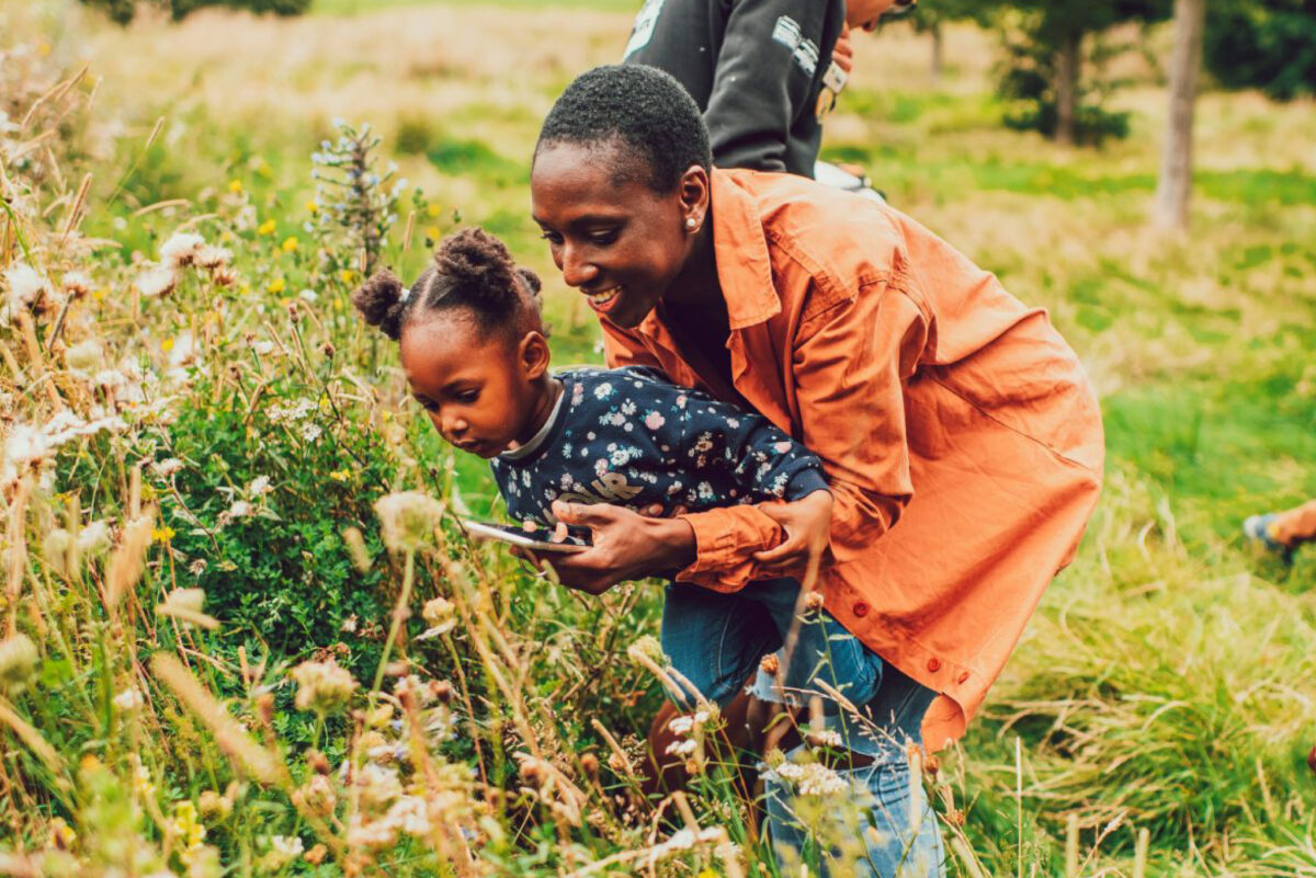 The Royal Parks Pollinator parade family walks